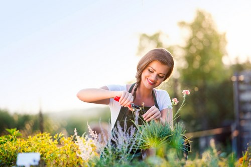 Seasonal planting and border care in a Strawberry Hill garden