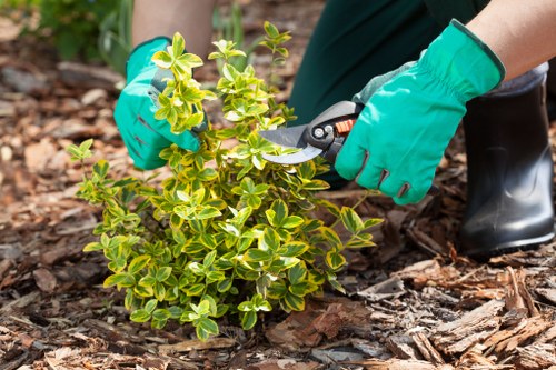 Professional mowing and edging for Strawberry Hill lawns