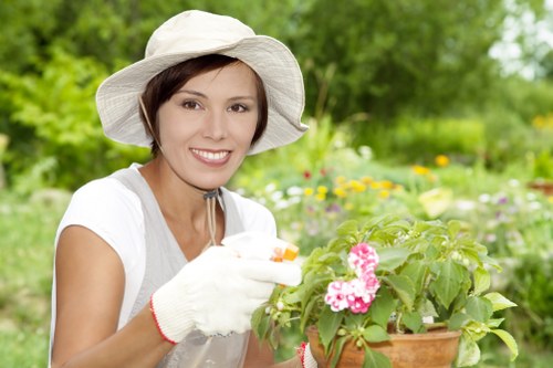 Autumn garden upkeep and pruning in Strawberry Hill