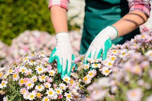 Protective PPE used by a Strawberry Hill gardener