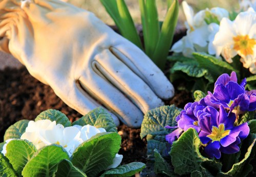 Low-carbon van used for sustainable garden waste transport