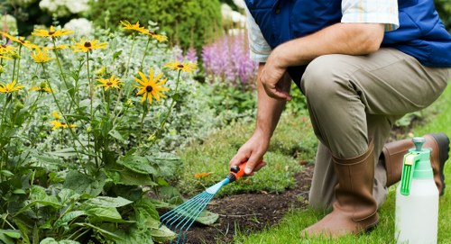 Seasonal lawn maintenance and fertilizing in Strawberry Hill