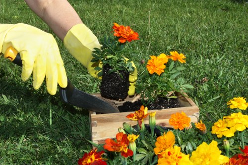 Safe and professional garden maintenance in progress