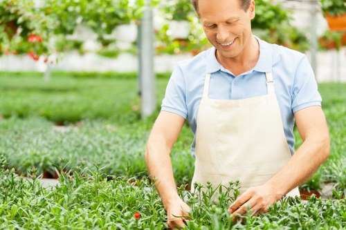 Healthy lawn care and edging in a Strawberry Hill garden
