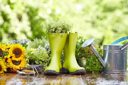 Local garden maintenance in Strawberry Hill with healthy planting