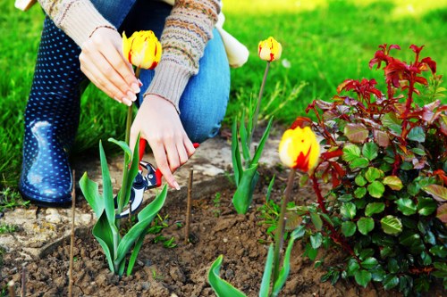 Weed control and green turf improvement in Strawberry Hill