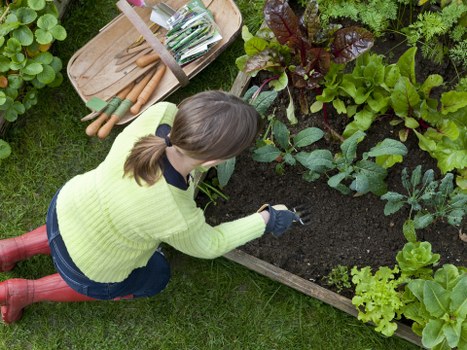 Protected checkout for Gardeners Strawberry Hill payments