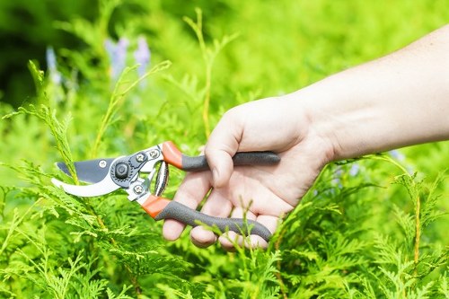 Weed control and refreshed planting beds during garden maintenance in Strawberry Hill
