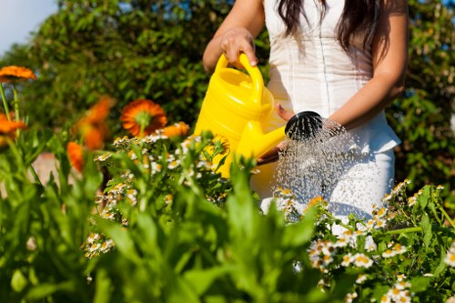 Commitment to ethical gardening and human rights at Strawberry Hill